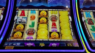 Wolf is watching..Wolf Run Gold at Kickapoo Lucky Eagle Casino screenshot 3