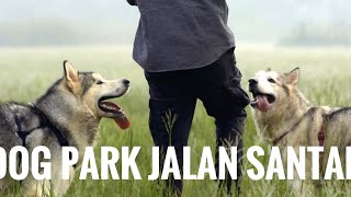 Jalan - jalan santai ke Dogpark