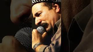 Şiwan Perver Xezal Xezal Resimi