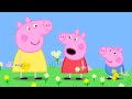 Peppa Pig And George Go Flower Picking | Kids TV And Stories