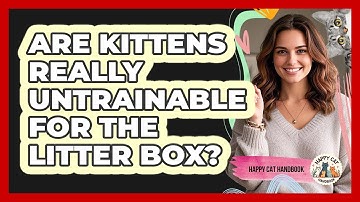 Are Kittens Really Untrainable For The Litter Box? - Happy Cat Handbook