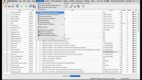 SPSS Recoding Variables