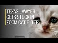 Texas lawyer gets stuck in Zoom cat filter