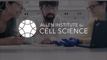 Impressions | Allen Institute for Cell Science