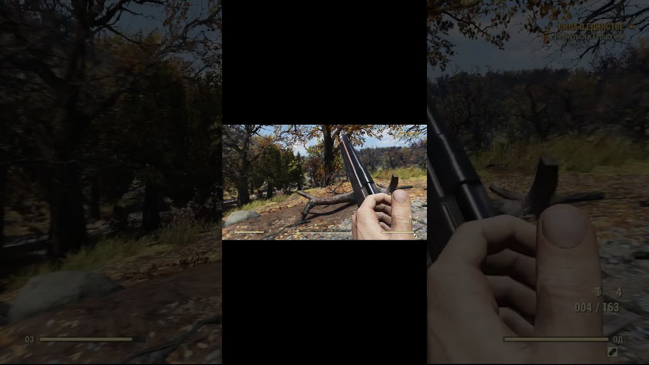 Мера предосторожности. Fallout 76 