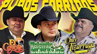 Valentin Elizalde & El Coyote y Chuy Lizarraga - Puros Corridos Mix