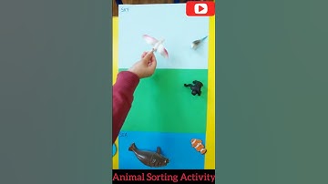 Animal Sorting Activity #animal #sorting #kids #learning #youtube #shorts