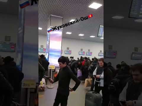 Отзывы клиентов🔥🔥🔥 Жуковский-Ош