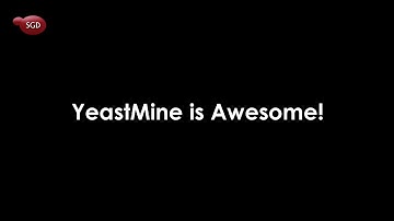 YeastMine is Awesome!