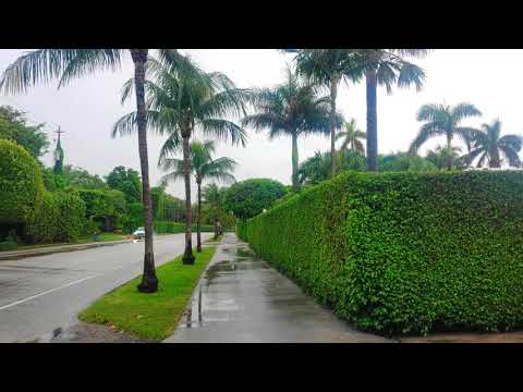 Walking in the Rain at Amazing Palm Beach, Florida - 4K ASMR