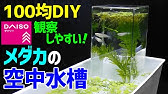 メダカを100均サラダボウルで作ったビオトープで室内飼育diy Japanese Medaka Youtube