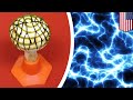 Mushroom and bacteria turn light into clean energy - TomoNews