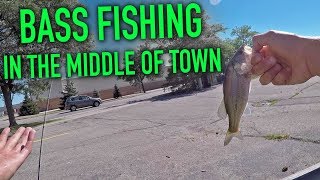 Urban Pond Fishing with the Ned-O Rig