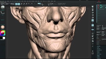 ZBrush tutorial: Sculpt a face using anatomical principles, Part 10