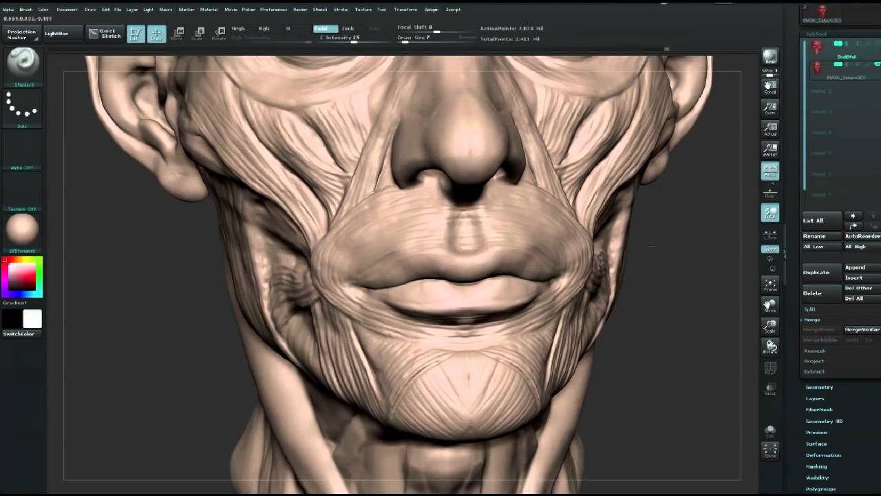 human anatomy for artists using zbrush and photoshop free download