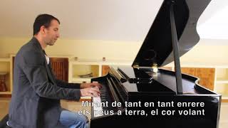 Sopa de Cabra - Els teus somnis - Piano cover de Jesús Acebedo (amb lletra en pantalla) #CoverTV3