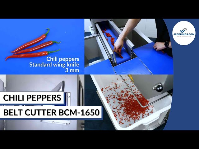 Machine Cutting Cucumber Slices  Vegetable Belt Slicer BCM-1650 