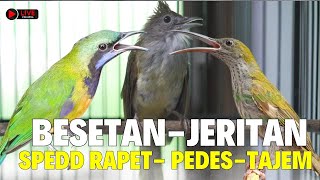 TEMBAKAN KASAR MEWAH 2025 || BESETAN JENGGOT - CUNGKOK KUNTI GEREJA TARUNG - TEPUS  ||