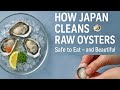 How Japan Prepares Raw Oysters | Safe, Healthy, and Beautiful