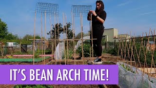 🫘 Making a Bean Arch + Plantings! 🫘 Allotment Vlog Ep. 13