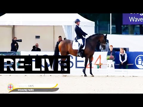 RE-LIVE | Qualifier 6 y/o | FEI WBFSH Dressage World Breeding Champs. for Young Horses 2021| Verden