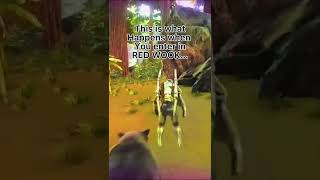 When You Go On The Red Wood Biome On Ark