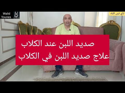 فيديو: كيفية شفاء كلب ذكر بعد الخصي