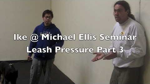Michael Ellis: Leash Pressure Part 3