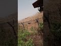جيش واحد شعب واحد جيش واحد شعب واحد