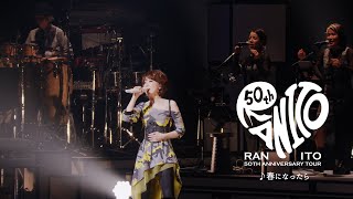 伊藤 蘭「春になったら」ライブ映像