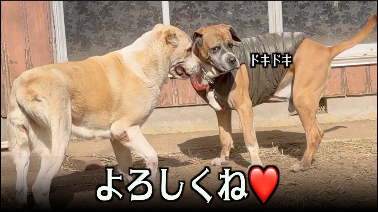 ロイおじモテモテ❤︎