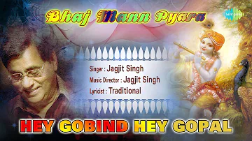 Hey Gobind Hey Gopal | Hindi Devotional Song | Jagjit Singh