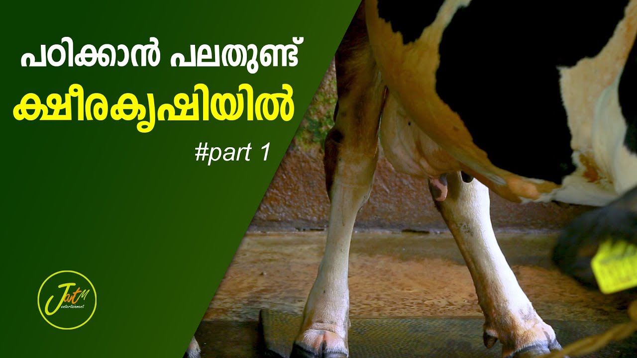 പഠിക്കാൻ പലതുണ്ട് ക്ഷീരകൃഷിയിൽ #part 1