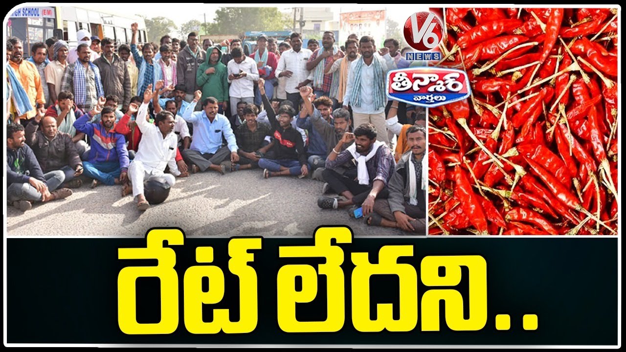 Mirchi Farmers Face Huge Losses Due To Unseasonal Rains , Demand For ...