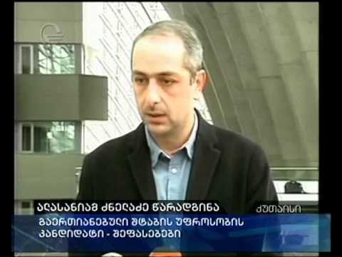 ალასანიამ ძნელაძე წარადგინა