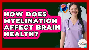 How Does Myelination Affect Brain Health? - Brain Health Support Network