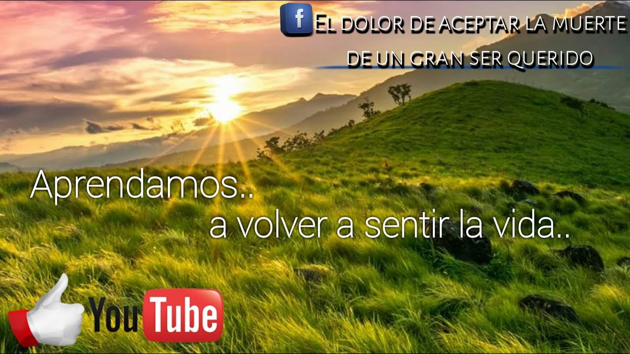 Aprendamos, a volver a sentir la vida.. | Daniel López Stz.