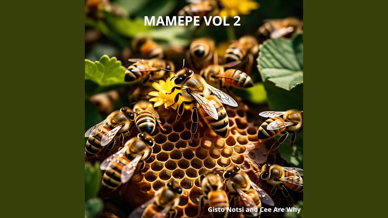 Net So (feat. Doca Zero152, Mathata Gp) [Barcadi Mix] - Big Daddy, Cee ...