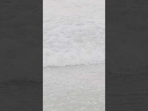 Video: Stränder i South Jersey: Från LBI till Cape May Point