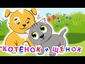 ПЕСЕНКА ПРО СОБАКУ И КОТА.  Мультик для Детей про Животных. Веселая Песенка о Дружбе. Новые Мультики