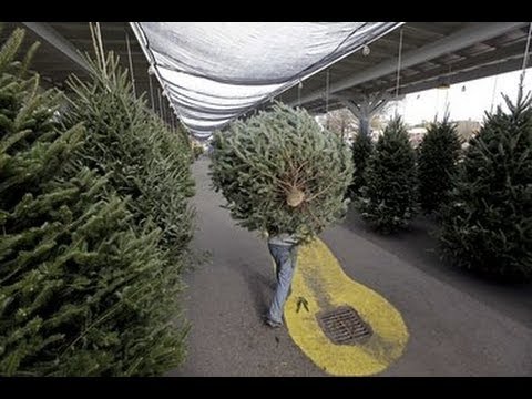 Not a Christmas tradition worth repeating - YouTube
