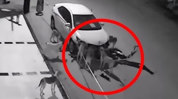 REAL Parallel Universes Experiences Caught on Video