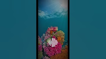 قرآن كريم القارئ عبد الباسط عبد الصمد