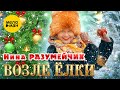Нина Разумейчик – Возле ёлки (Official Video, 2024)