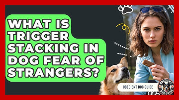 What Is Trigger Stacking In Dog Fear Of Strangers? - Obedient Dog Guide