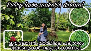 ഈ ലോൺ ഫാർമിലെ പല തരം ലോണുകൾ നമുക്ക് കാണാം! | Every lawn makers dream #pearlgrass #thailandgrass