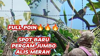 BERBURU PERGAM JUMBO❗ SPOT TAK TERJAMAH❗SPOT PERGAM ALIS MERAH@TimikaShooterAngler 