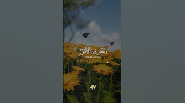 وبشر الصابرين 😩❤️    حالات واتس اب قرآن القارئ إدريس أبكر 💚