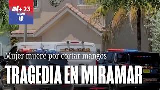 Hispanic woman dies after falling from a tree in Miramar while picking mangoes