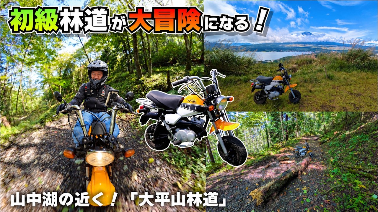 【富士山が見える 林道】ポッケ覚醒？6インチで林道へ挑んだら初級コースが大冒険になっちった #山中湖 #大平山林道 #林道ツーリング